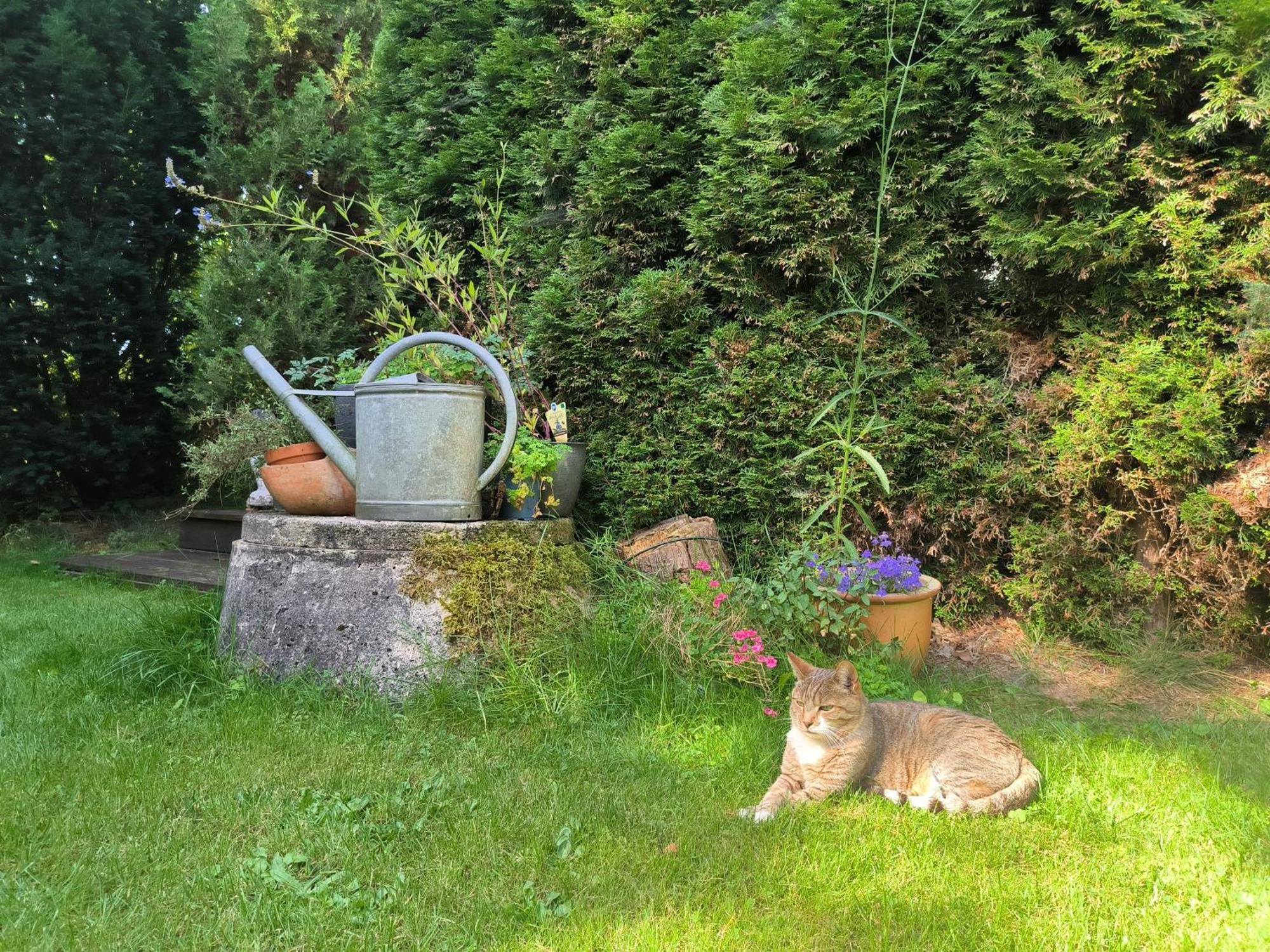 Ferienhaus Inger - Stilvolles Und Modernes Ferienhaus Mit Terrasse Und Gartennutzung Tarp Extérieur photo